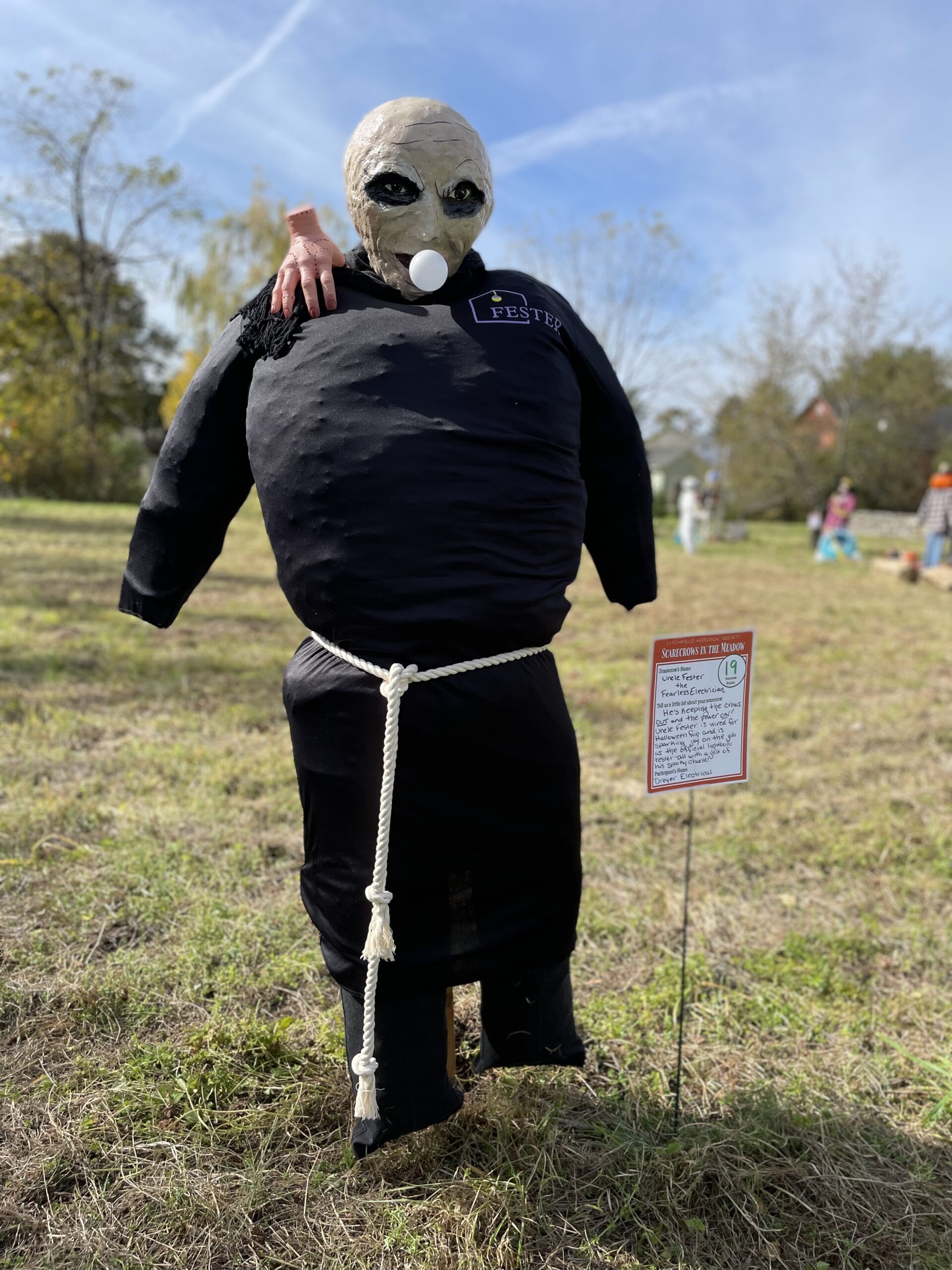 Scarecrows in the Meadow