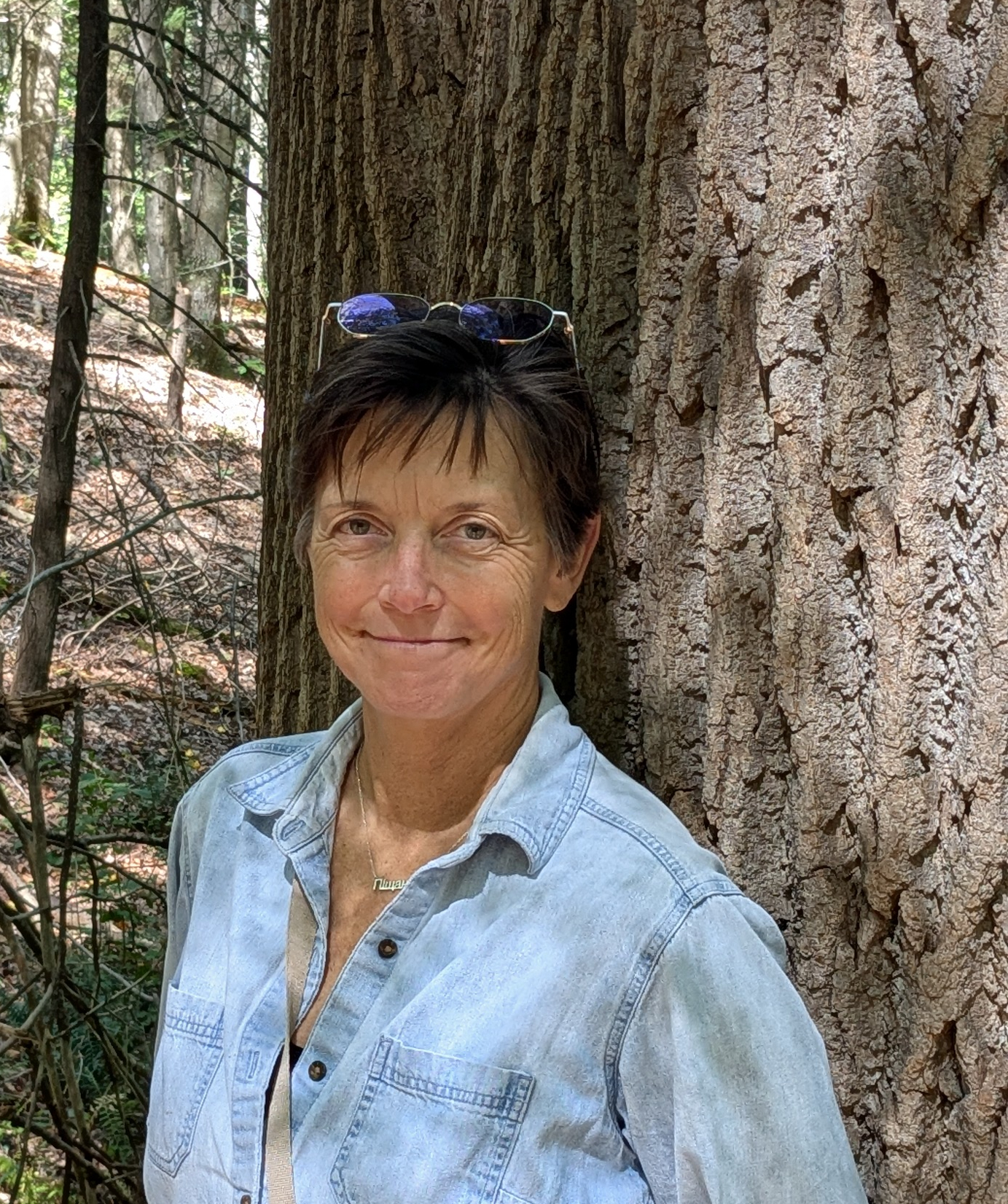 The Litchfield Arts Council is teaming up with the Litchfield Historical Society (LHS) and the Litchfield Community Center to host two events celebrating National Poetry Month in April.